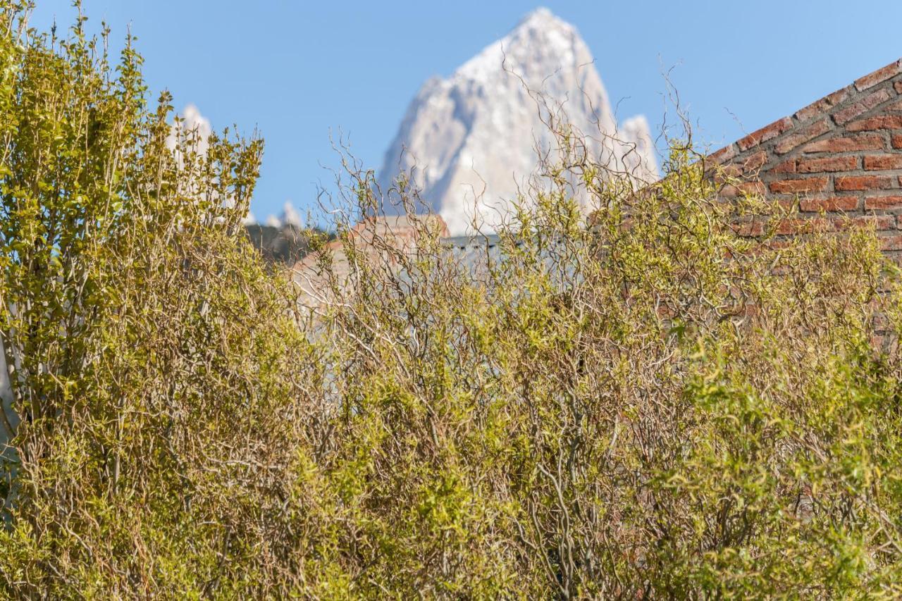Inlandsis Aparts * El Chaltén